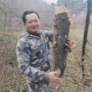 湖南大健康产品整合行业招商运营资源的专业平